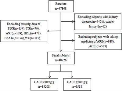 The association between a body shape index and elevated urinary albumin–creatinine ratio in Chinese community adults